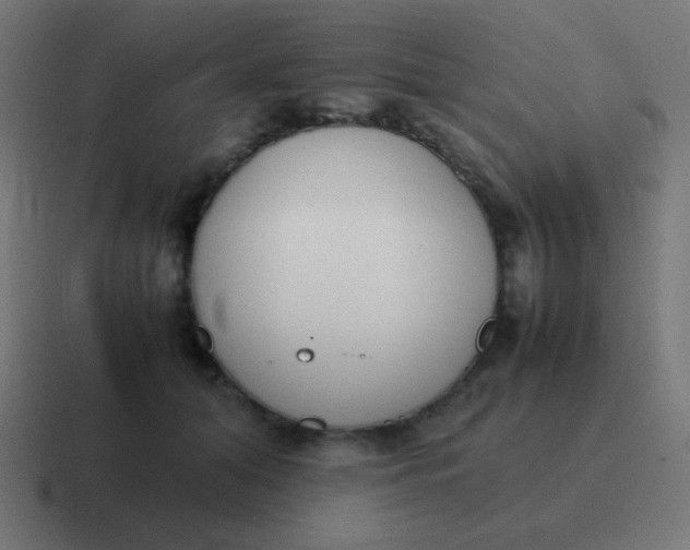 X0000116820608200912312017