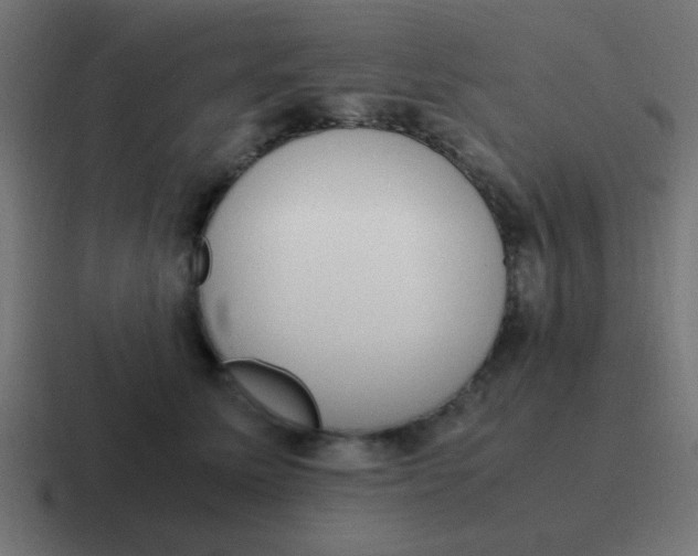 X0000116820611200912312017