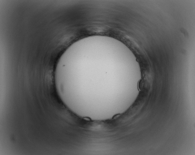 X0000116820612200912312017