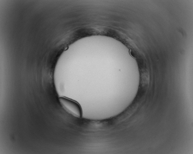 X0000116820613200912312017