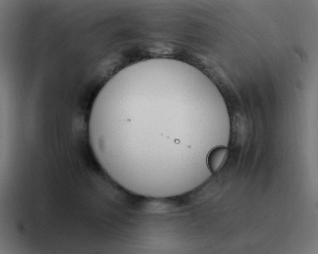 X0000116820614200912312017