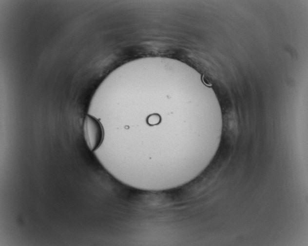 X0000116820615200912312017