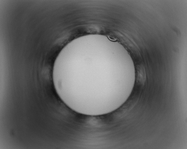 X0000116820616200912312017