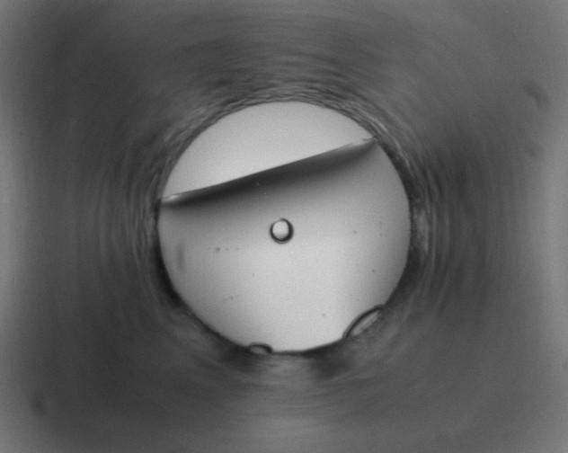 X0000116820617200912312017