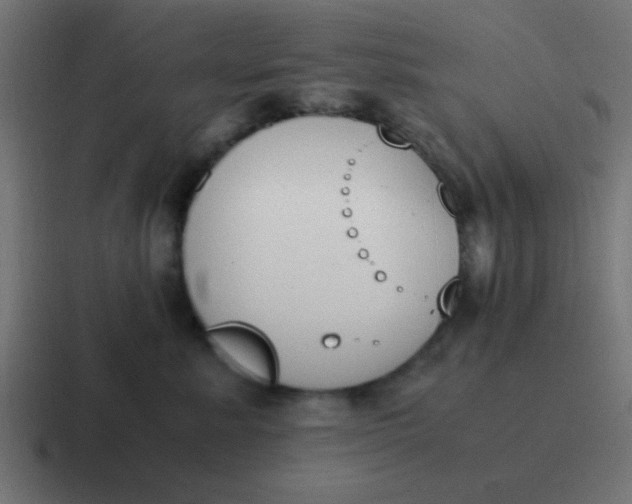 X0000116820619200912312017