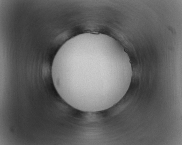 X0000116820623200912312017