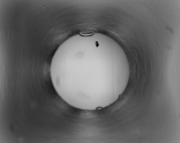 X0000116820624200912312017