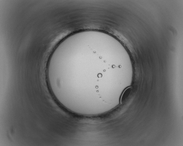 X0000116820625200912312016