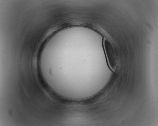 X0000116820626200912312016