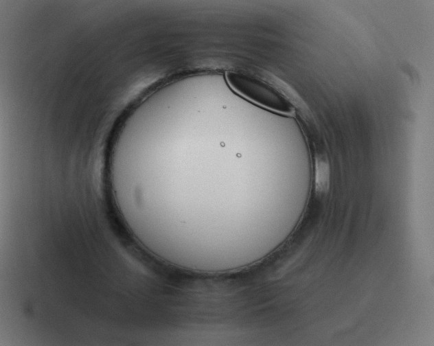 X0000116820627200912312016