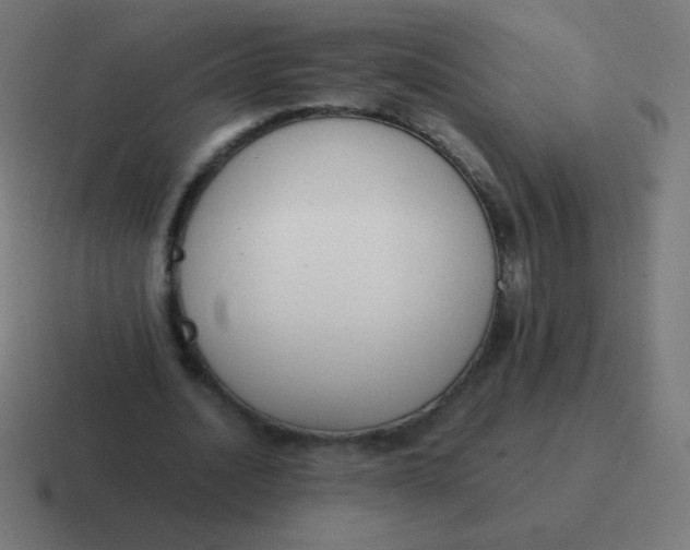 X0000116820628200912312016