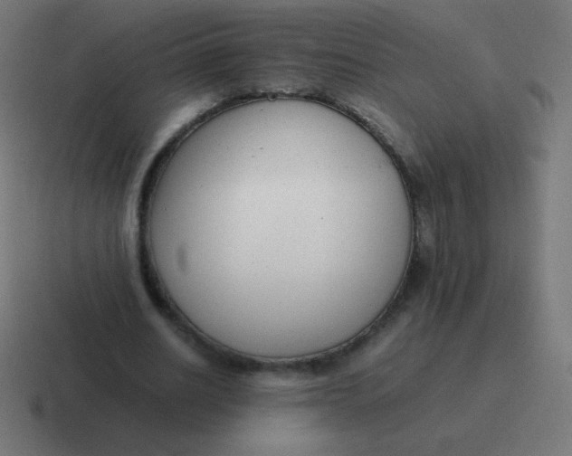 X0000116820630200912312016