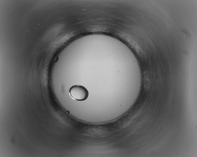 X0000116820631200912312016