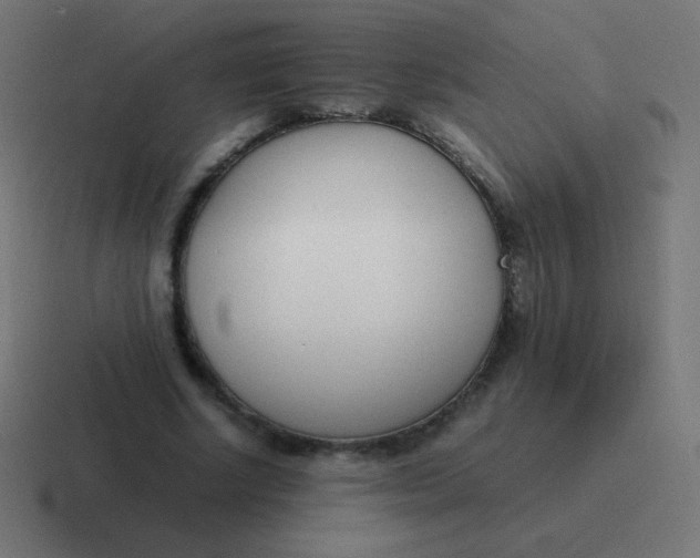 X0000116820634200912312016