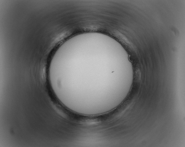 X0000116820638200912312016