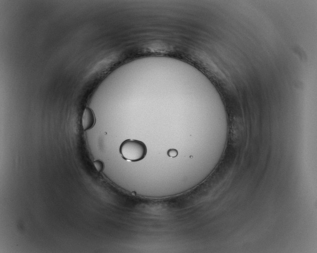 X0000116820639200912312016