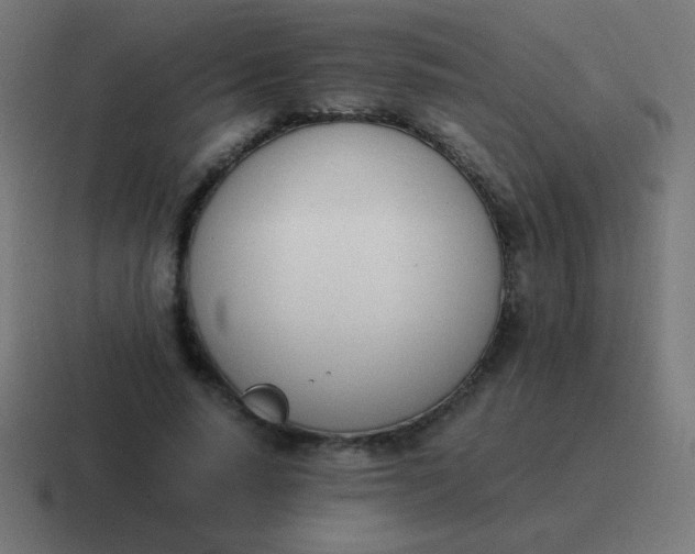 X0000116820640200912312016