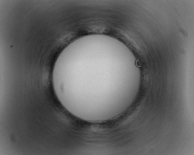 X0000116820641200912312016