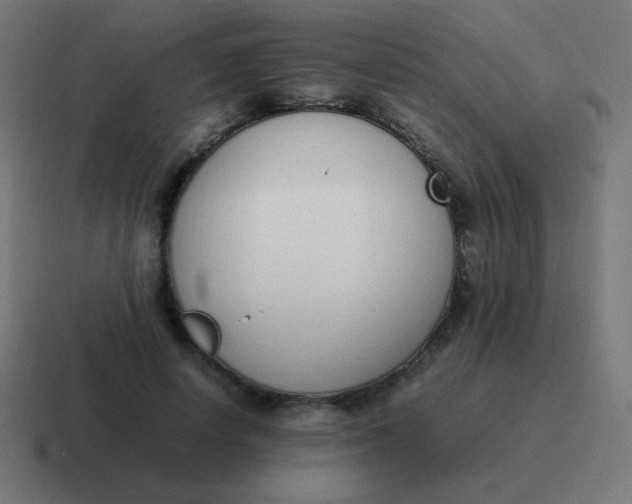 X0000116820642200912312016