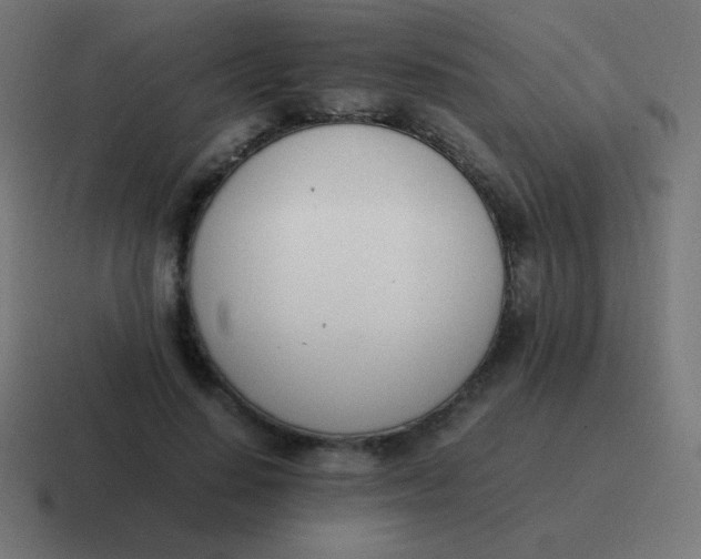 X0000116820644200912312016