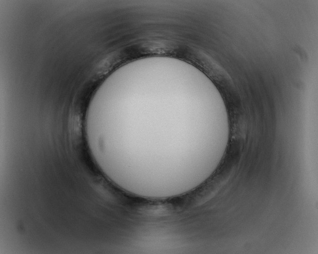 X0000116820646200912312016