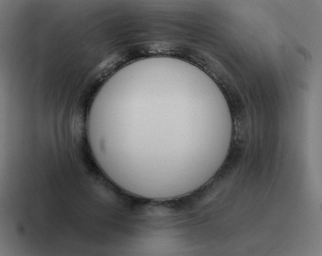 X0000116820648200912312016