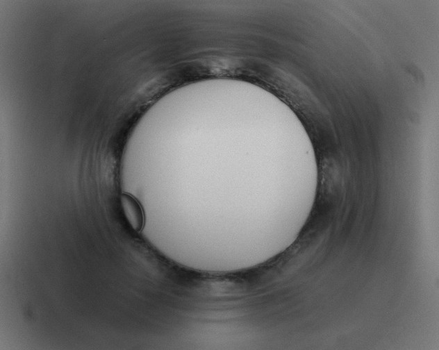 X0000116820650200912312016