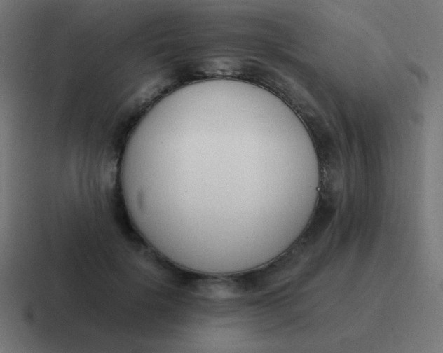 X0000116820652200912312016