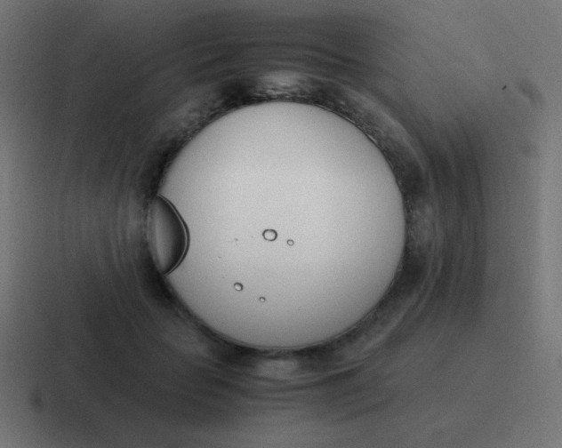 X0000116820653200912312016