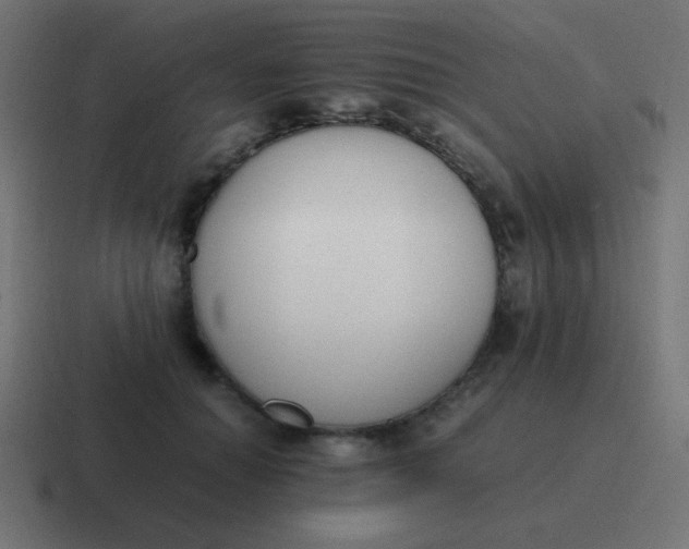 X0000116820654200912312016