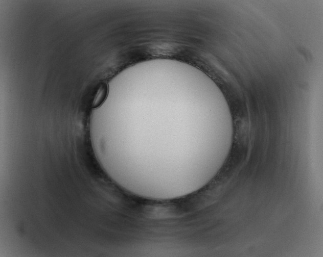 X0000116820655200912312016