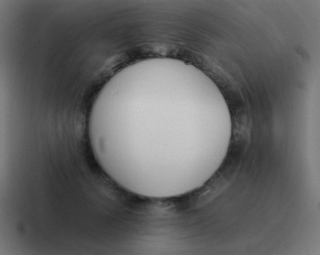 X0000116820656200912312016