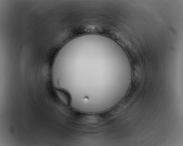 X0000116820659200912312016