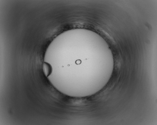 X0000116820661200912312016