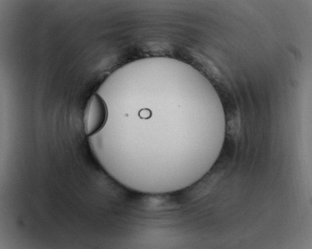 X0000116820662200912312016