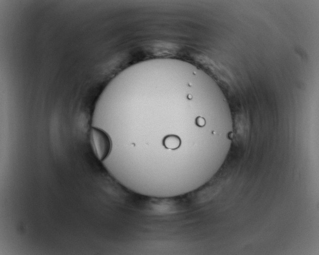 X0000116820667200912312017