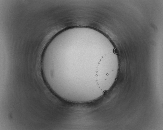 X0000116820673200912312016