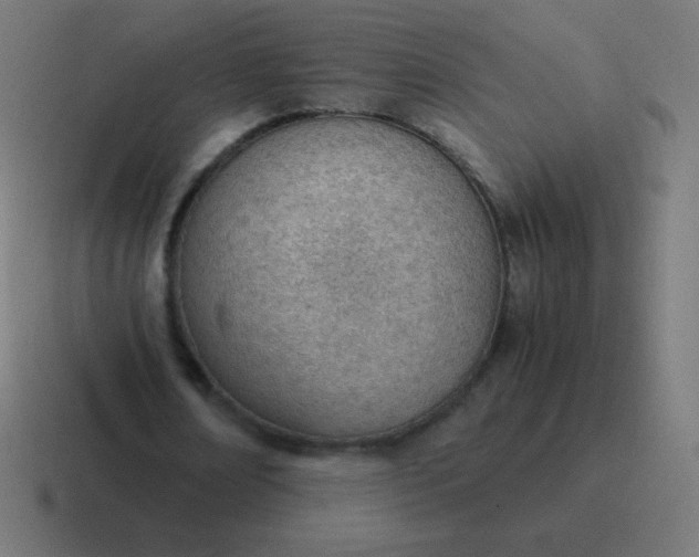 X0000116820674200912312016