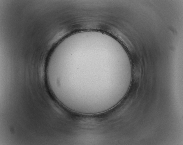 X0000116820677200912312016