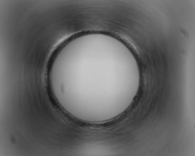 X0000116820680200912312016