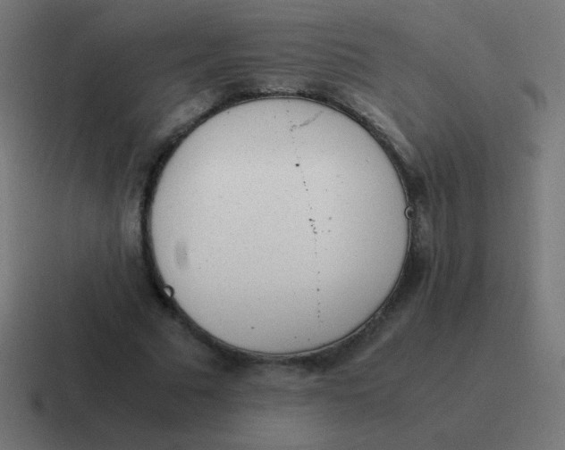 X0000116820681200912312016