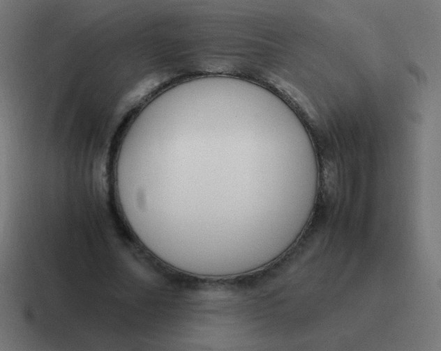 X0000116820682200912312016