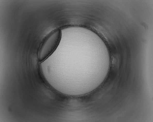 X0000116820684200912312016