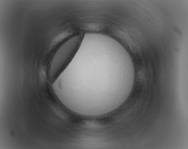 X0000116820688200912312016