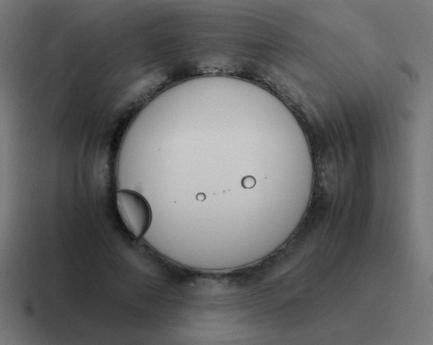 X0000116820690200912312016