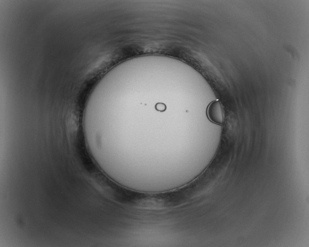 X0000116820691200912312016