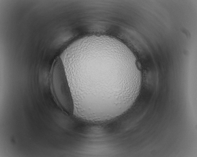 X0000116820692200912312016