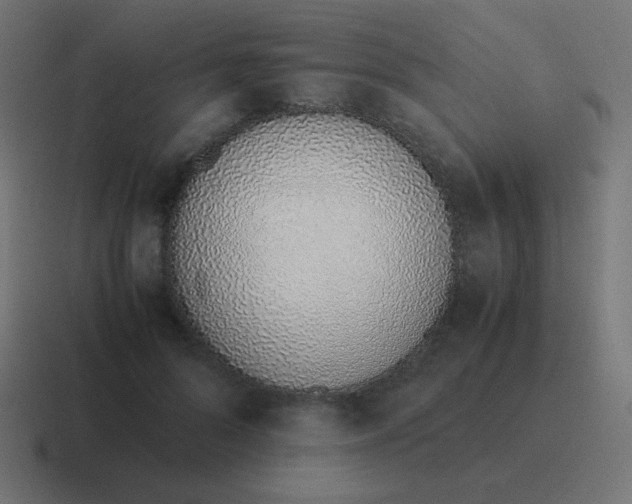 X0000116820696200912312016