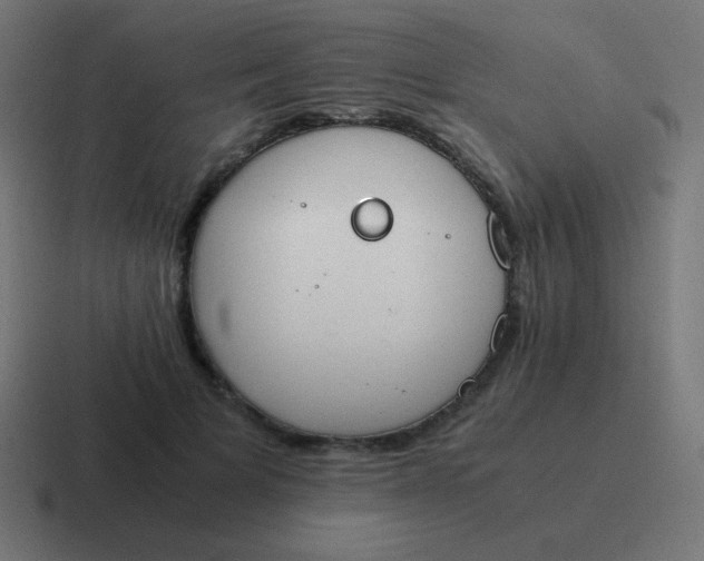 X0000116820697200912312016