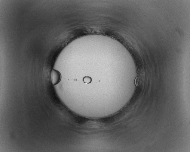 X0000116820699200912312016